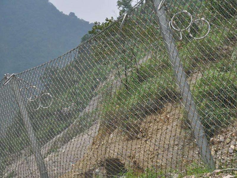 沈陽邊坡錨固防護網