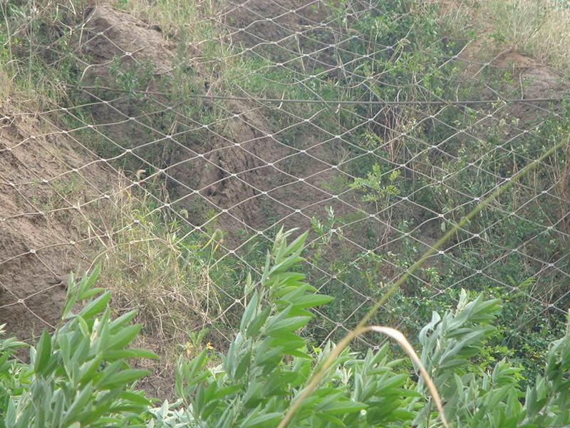 海南GAR2型主動防護網