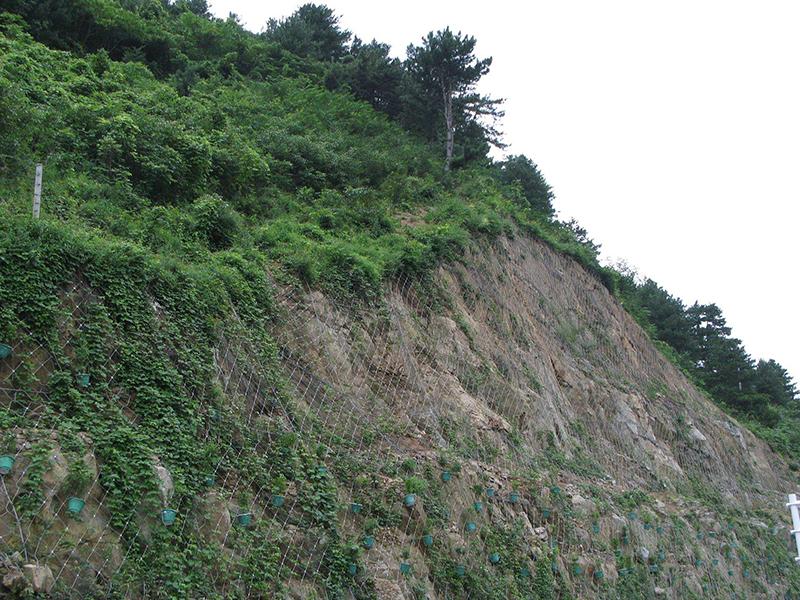 陜西柔性主動防護網