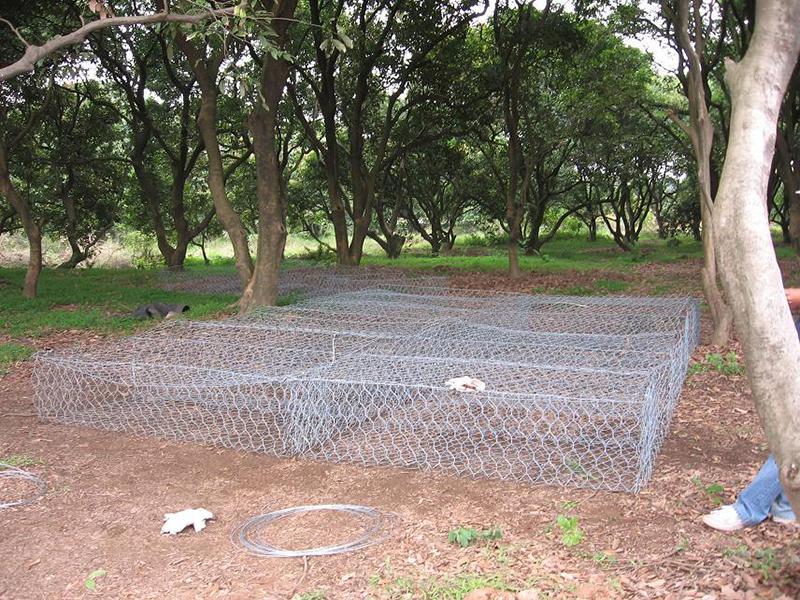 福建雙隔板雷諾護墊